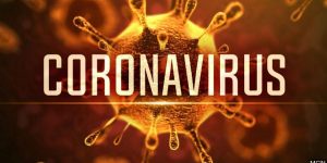Blog sobre coronavírus